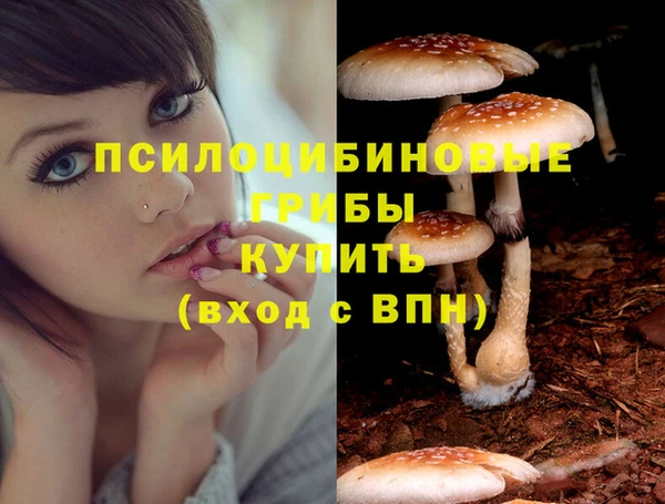 молекула духа Алзамай
