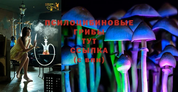 молекула духа Алзамай