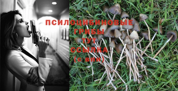 молекула духа Алзамай