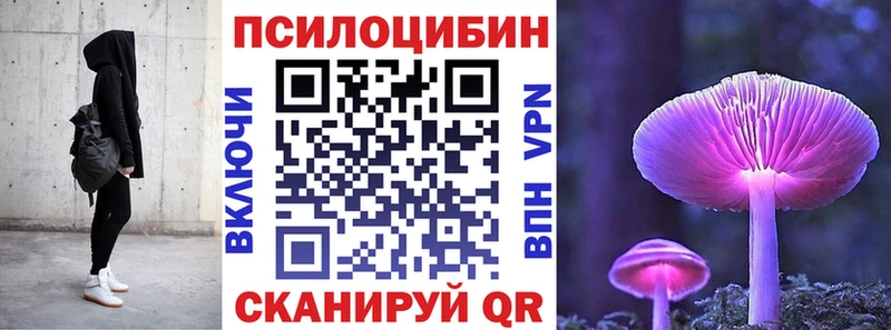 цена   Анива  Псилоцибиновые грибы мицелий 